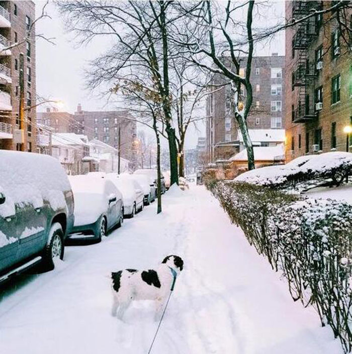 15170300673049.jpg 18.jpg