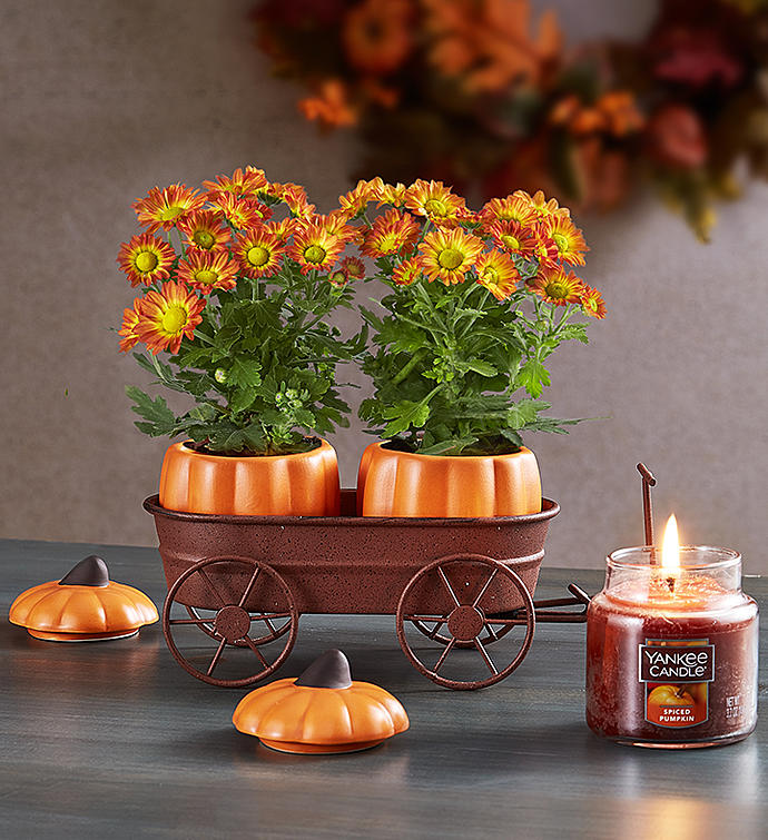 15411506714092.png 圖片13.png