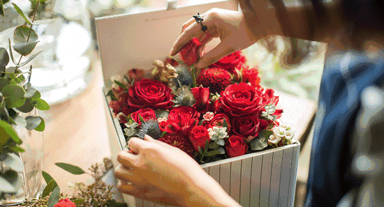 15483210068858.gif 2.gif